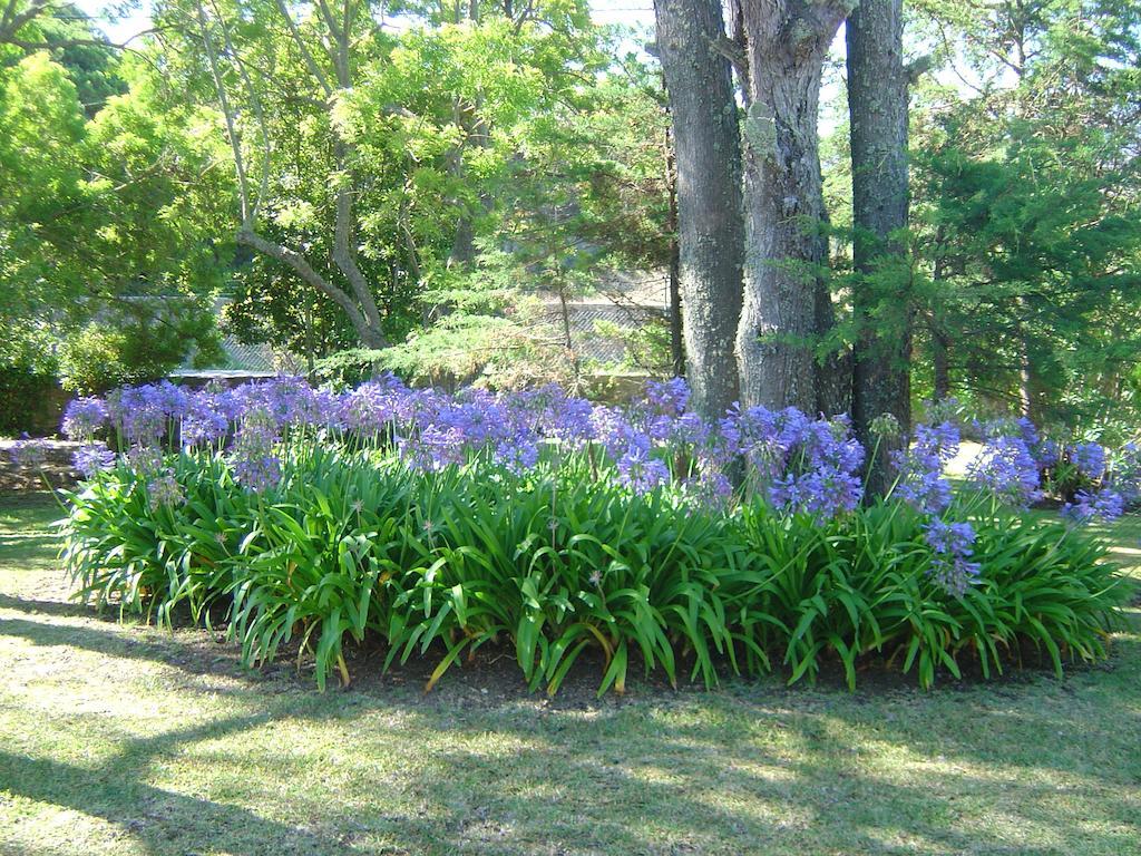 Solar Do Magoito Guest House Sintra Bagian luar foto