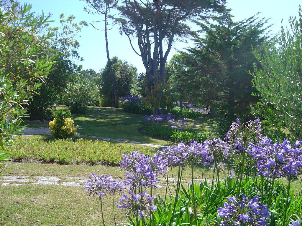 Solar Do Magoito Guest House Sintra Bagian luar foto